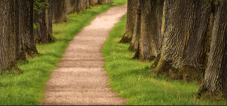 Les 33 pierres du chemin de vie