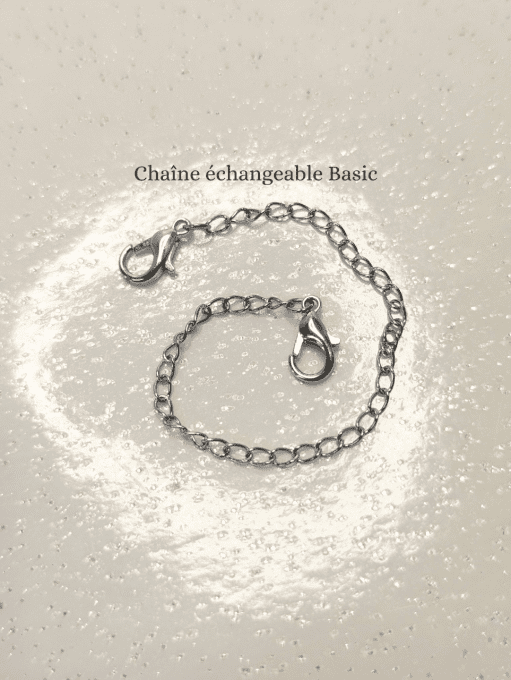Chaîne échangeable de bracelet