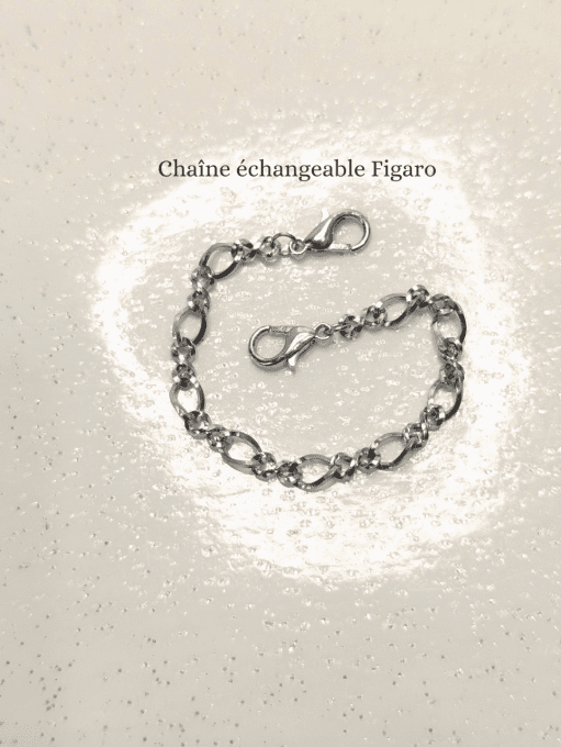 Chaîne échangeable de bracelet